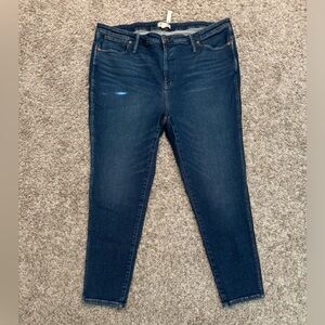 Madewell 10” High-Rise Skinny Jeans in Winston Wash